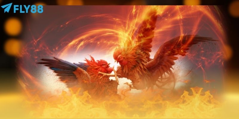 Sảnh Đá Gà Sv388: Bí Kíp Đặt Cược Chuẩn, Nhận Thưởng Nhanh